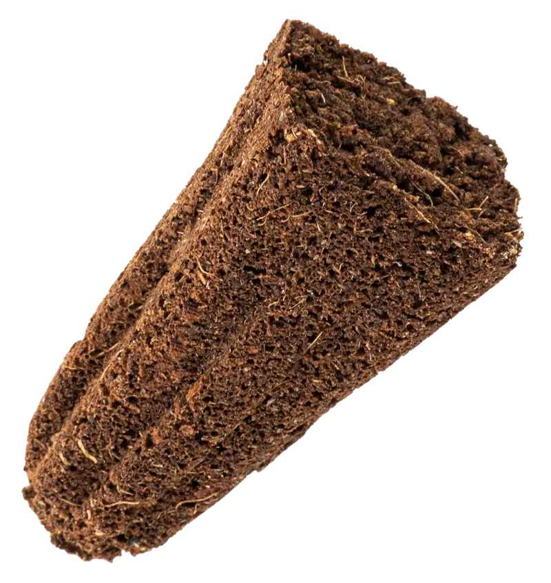 Organic Shapes Premium plug
