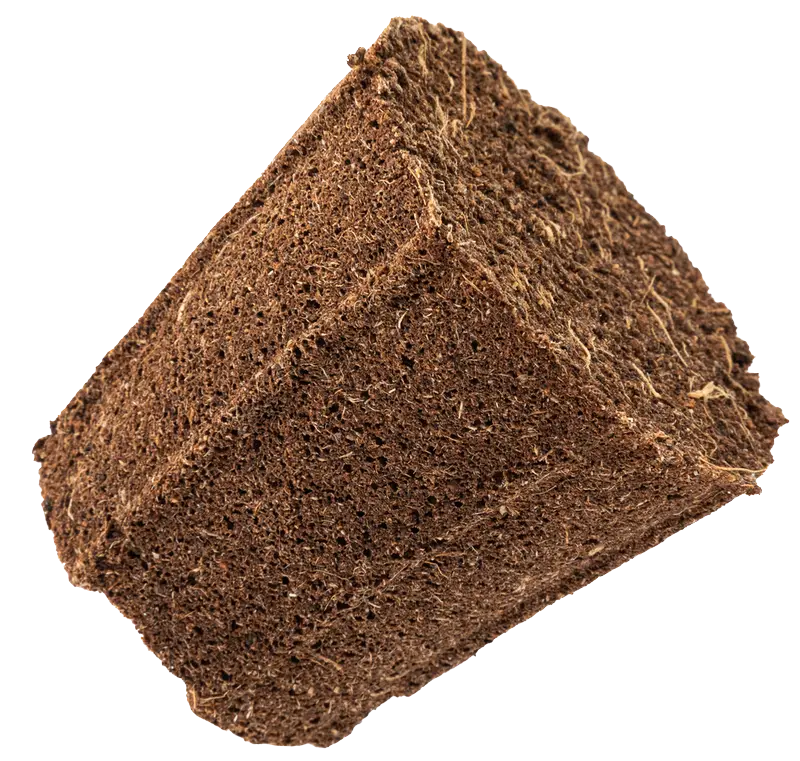 Organic Shapes Rooting plug